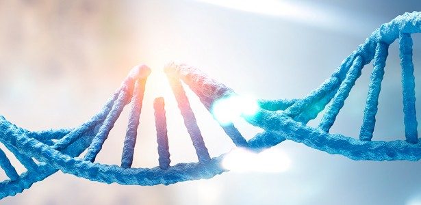 Falha no reparo do DNA materno compromete desenvolvimento embrionário e gera mutações pós-fecundação